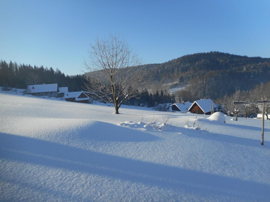 Chalupa Vecernik Rokytnice nad Jizerou Extérieur photo